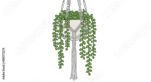 Illustration of a hanging macrame planter with a green succulent plant featuring long trailing leaves on a plain white background.