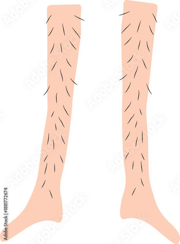 Simple Flat Vector Illustration of Unshaven Human Legs for Body Positivity Concept