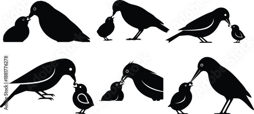 A collection of black bird silhouettes flying in nature