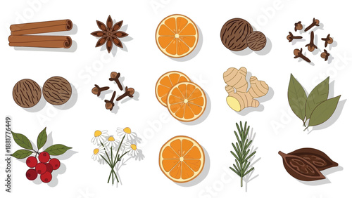 Collection of herbs and spices for cooking and baking on white background