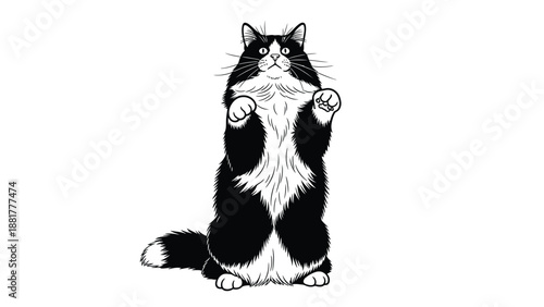 Whimsical black and white illustration of a fluffy cat standing upright with paws raised