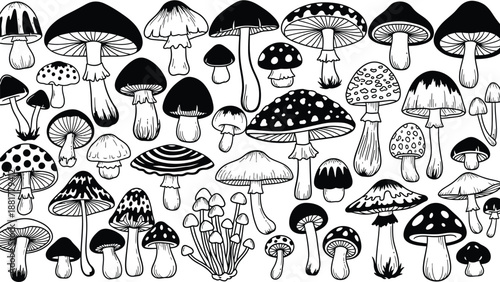 Diverse array of black and white mushroom illustrations arranged in a delightful pattern