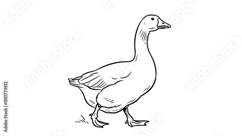 Minimalist line art illustration of a walking goose on a white background