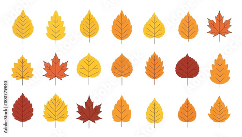Autumn leaves collection in shades of yellow orange and red on white background
