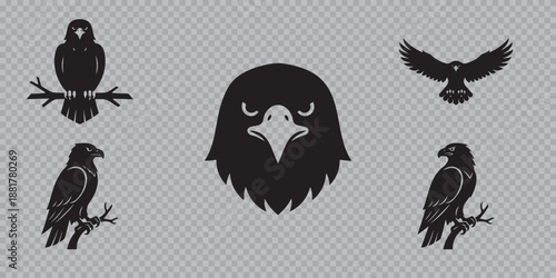 Eagle Silhouette and Head Logo Set, Bald Eagle Vector Icons in Flying and Perched Poses