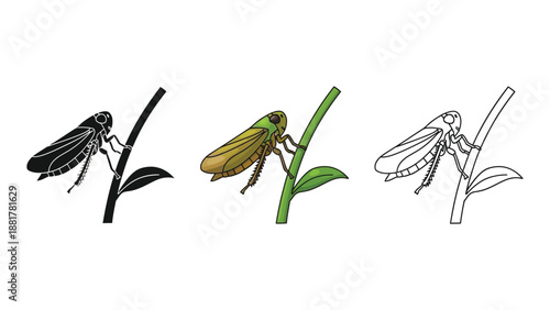 Set of three leafhopper insect illustrations on a plant stem in silhouette, color, and outline styles