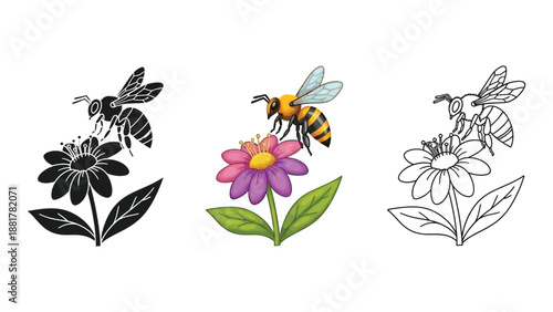 Set of three bee and flower illustrations in black silhouette, color, and line art outline styles
