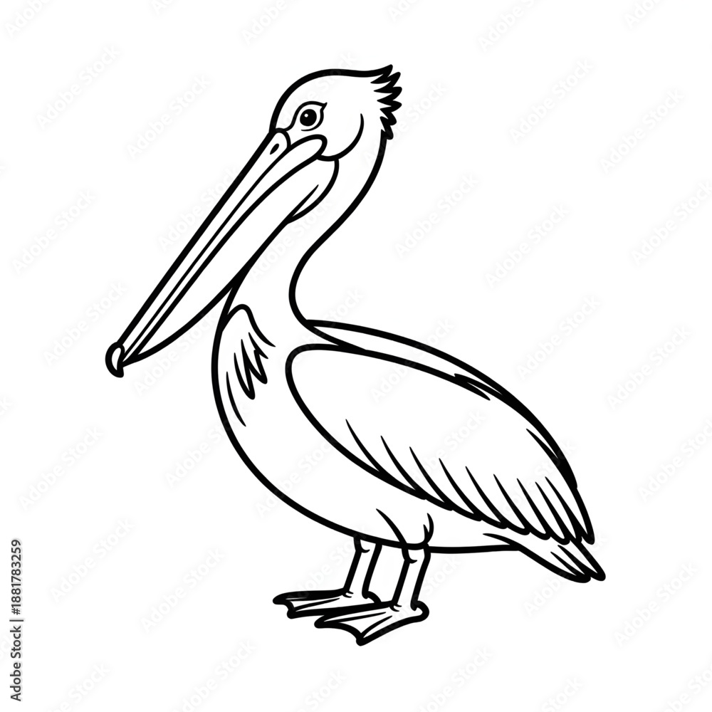 Fototapeta premium A pelican bird illustration vector style coloring page