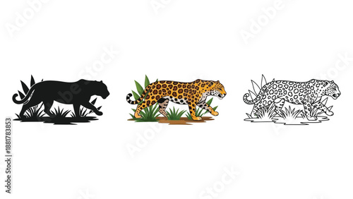 Set of three jaguar illustrations walking in a grassy jungle environment in silhouette, color, and detailed outline styles