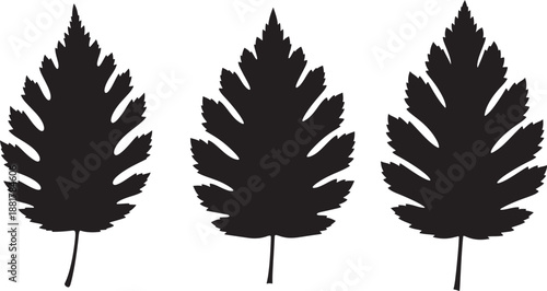 Wallpaper Mural Three leaves silhouette vector illustration element Torontodigital.ca