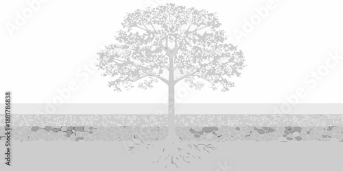 A grayscale illustration of a solitary tree with visible roots and landscape