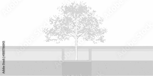 A solitary tree stands in a rectangular planting bed grayscale illustration