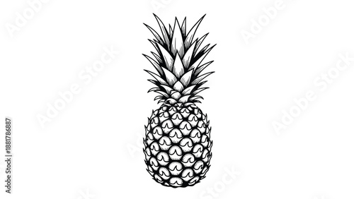 Strikingly Detailed Black and White Hand-Drawn Pineapple Illustration on a Clean White Background