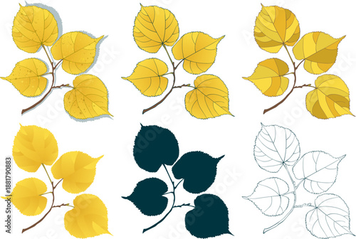 Set of golden-yellow autumn linden leaf on transparent background. Flat and line styles vector illustrations...