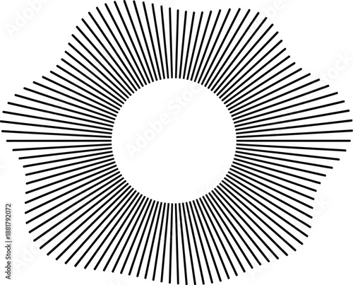 Black radial lines emanating from a central white circle forming a sunburst pattern abstract