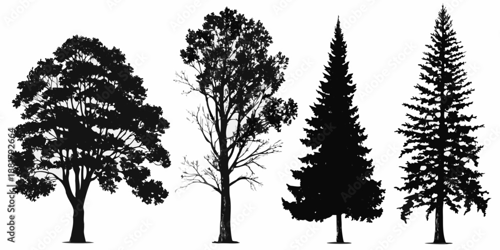 Fototapeta premium Silhouettes of diverse trees a black and white natural composition
