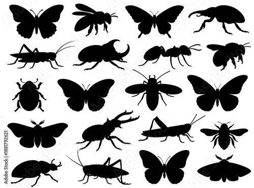 Insect silhouettes collection with various flying and crawling species. Black figures representing insects in detailed body shapes