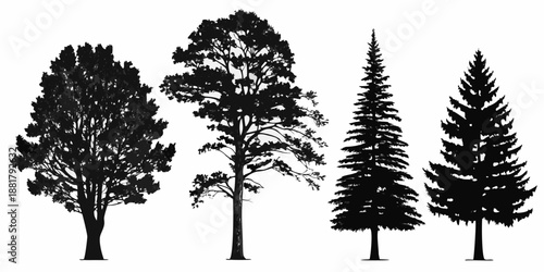 Silhouette collection of diverse evergreen and deciduous trees against a white background