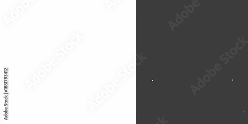 A stark contrast a white and black split screen with subtle details