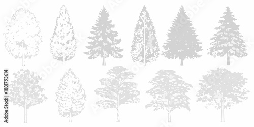Collection of grayscale tree silhouettes displaying diverse coniferous and deciduous forms