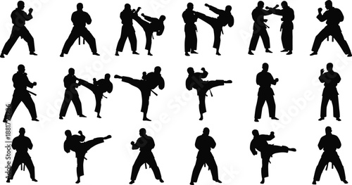 Large collection of black silhouettes featuring professional karate and martial arts masters in combat stances and high kick positions for sport competition and training concepts
