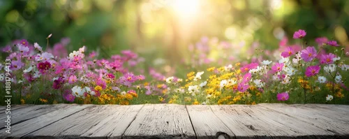 Obraz  z motywem Rustic wood surface foreground against colorful spring cosmos flowers field with bright bokeh sunlight, concept for product display, seasonal promotions and garden themed advertisements