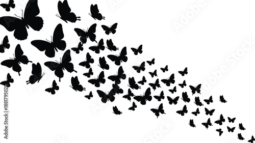 Butterfly silhouettes flying swarm, black insect shapes motion pattern, nature freedom concept, elegant butterflies isolated on white background illustration