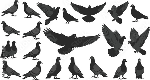Large collection of black pigeon silhouettes featuring various flying perched and standing poses for urban wildlife nature conservation city park environment and avian biology design