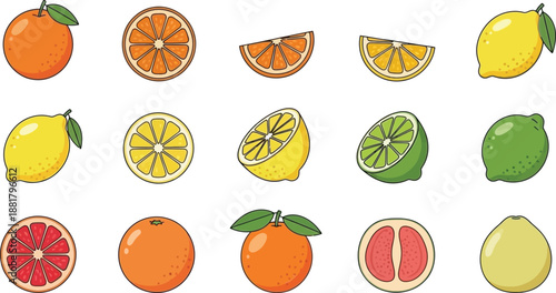 Assorted Citrus Fruits: Oranges, Lemons, Limes, Grapefruit Halves