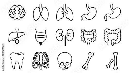 Black and white line of human body parts including brain lungs stomach liver gallbladder kidneys intestines tooth