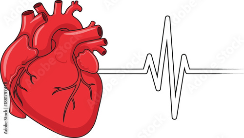 Elegant Gold Plated Kitchen Whisk for Luxury Cooking