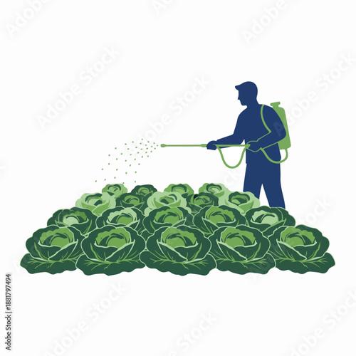 Gardener spraying pesticide on cabbage patch. Flat vector illustration of a farmer with backpack sprayer. Agriculture and pest control concept isolated on white background