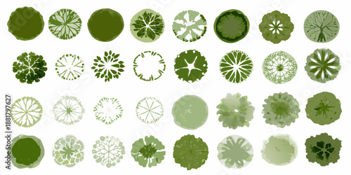 A collection of diverse tree canopy views illustrated in varying shades of green
