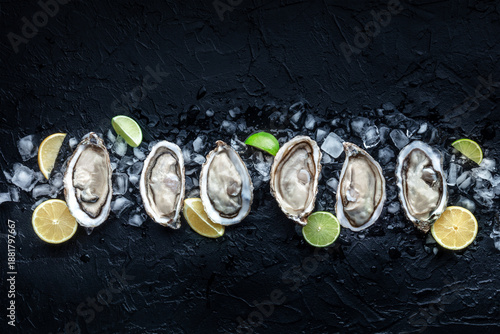 Wallpaper Mural Fresh raw oysters on ice, overhead flat lay view on a black slate background, with lemon and lime slices, with copy space Torontodigital.ca