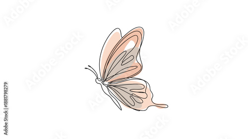 Natural beauty and change concept illustrated by a delicate line art butterfly with soft colored wings.