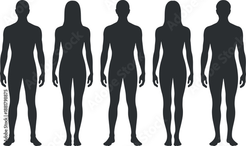 Human body silhouette set in gray featuring standing front view figures in flat vector, standing body proportion silhouette figures collection, male and female figure silhouettes isolated
