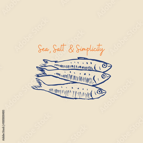 Sardines fish hand drawn vector illustration print design