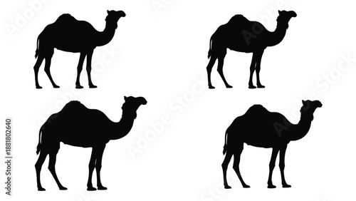 black silhouettes of four camels are displayed against a white background a simple graphic design