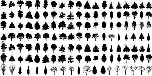a collection of diverse tree silhouettes in black against a white background