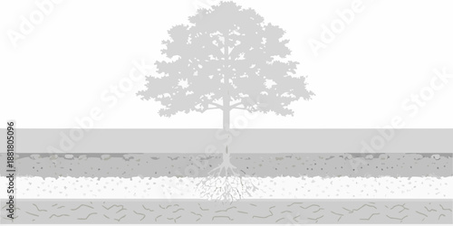 a grayscale illustration of a tree with roots extending into the ground