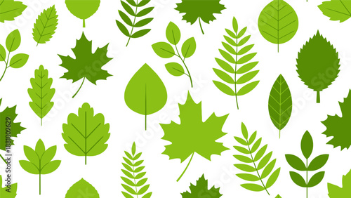 Collection of Various Green Leaves Shapes.