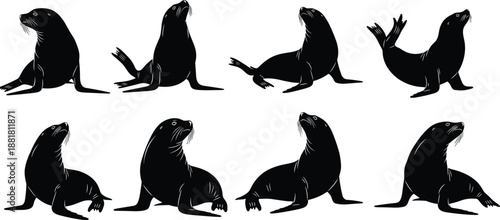 Sea lion silhouettes collection isolated black marine animals wildlife vector illustration set for design