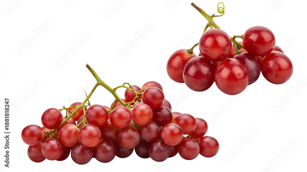 Fototapeta premium Close-up studio shot of two vibrant grape clusters. Juicy, translucent, round fruits attached to green stems. Perfect for culinary or health concepts