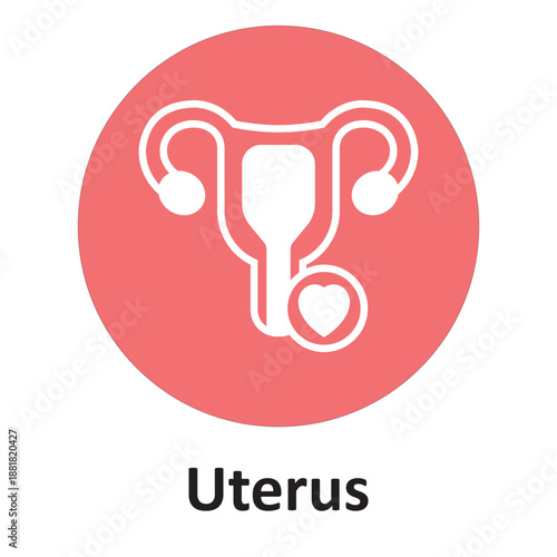 Uterus Vector Icon which can easily modify or edit