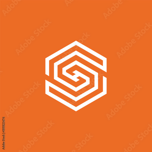 Modern and sleek abstract geometric hexagonal symbol design, featuring intricate labyrinthine lines that evoke concepts of connection, innovation, and strategic pathways