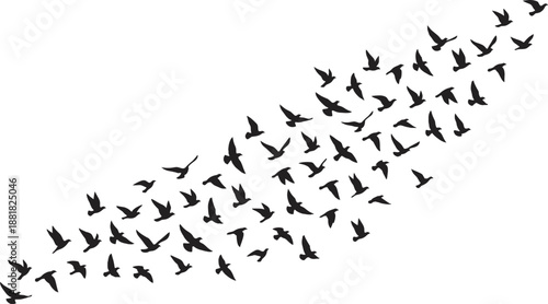 Black silhouettes of a large flock of birds flying in the sky isolated on white background group of diverse migratory bird shapes for nature designs