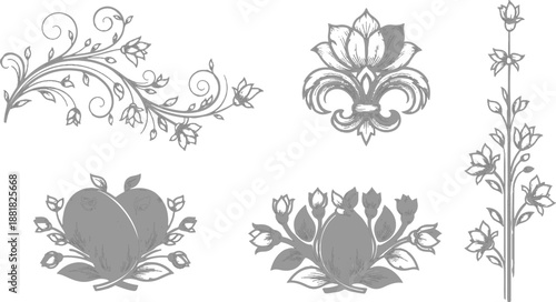 Set of floral design elements featuring rose illustrations and seamless vector patterns with nature-inspired swirls, leaves, and decorative borders for elegant wallpapers or art sketches.