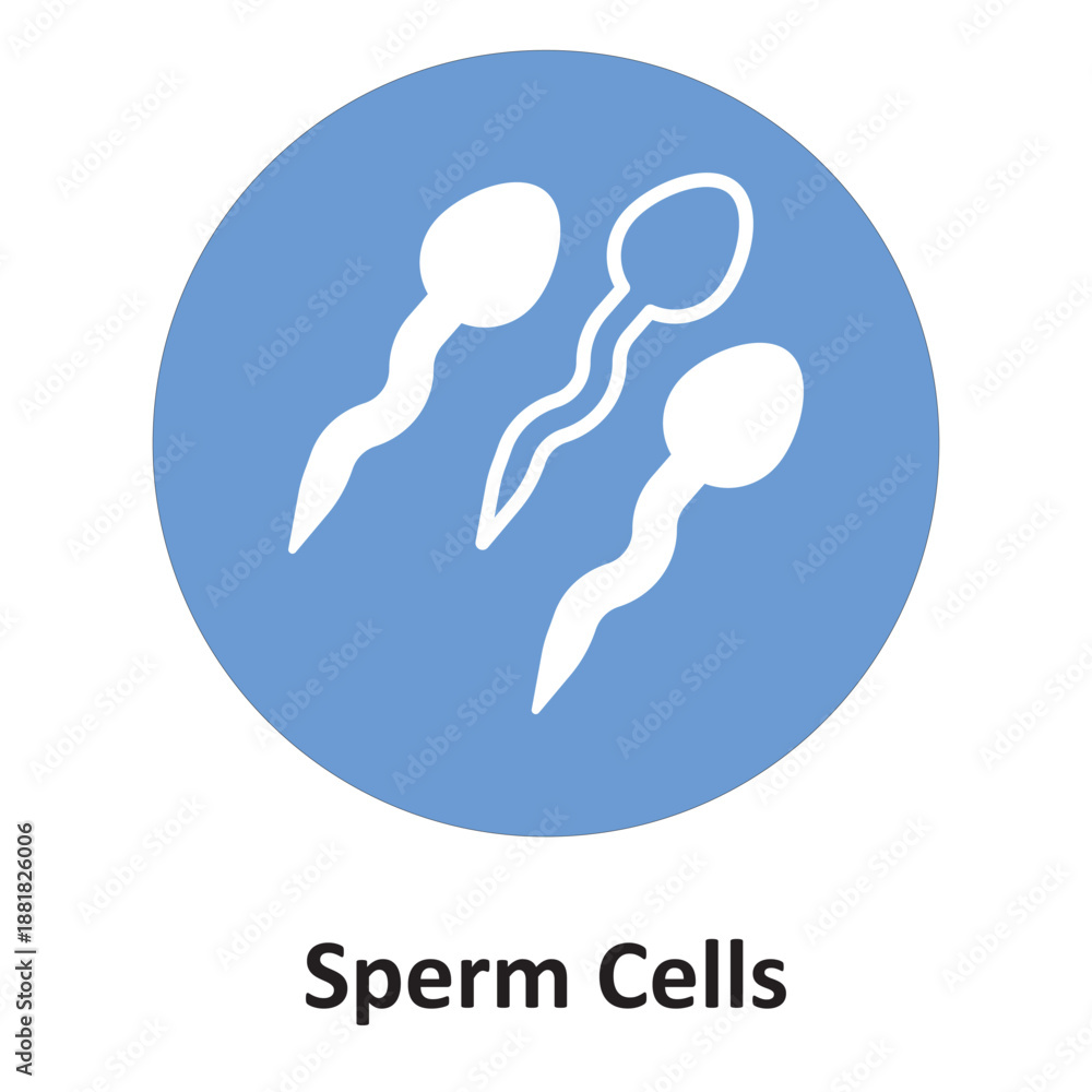Fototapeta premium Sperm Cells Vector Icon which can easily modify or edit