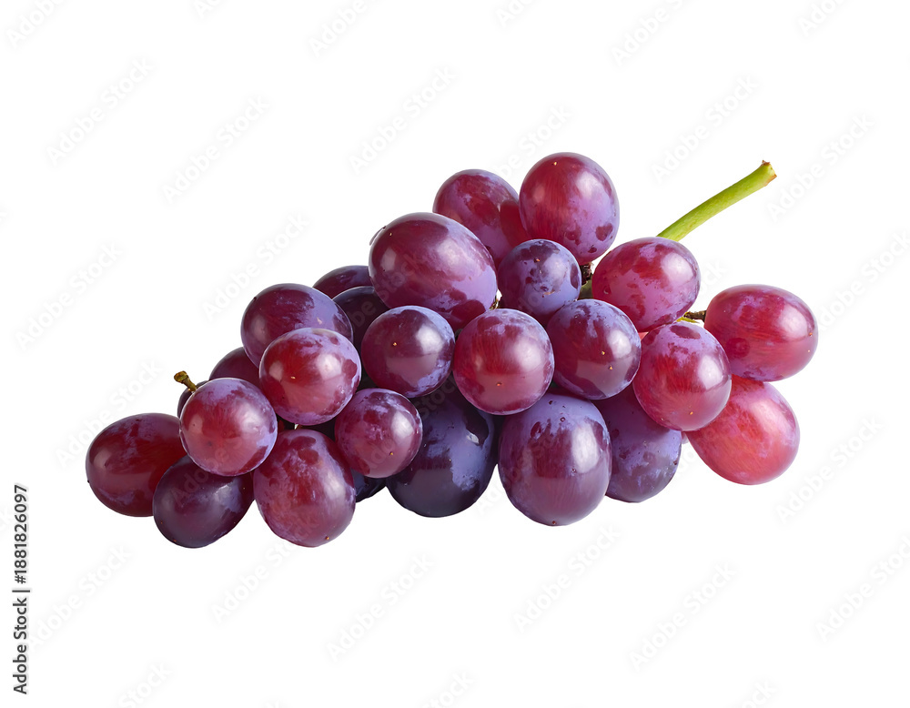 Fototapeta premium Vibrant cluster of deep red, translucent berries on a delicate stem