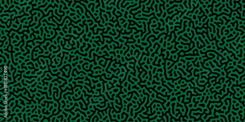 Abstract truing organic wallpaper Turing reaction diffusion monochrome seamless pattern .Monochrome Turing reaction background .Natural seamless line pattern. Linear design with biological shapes